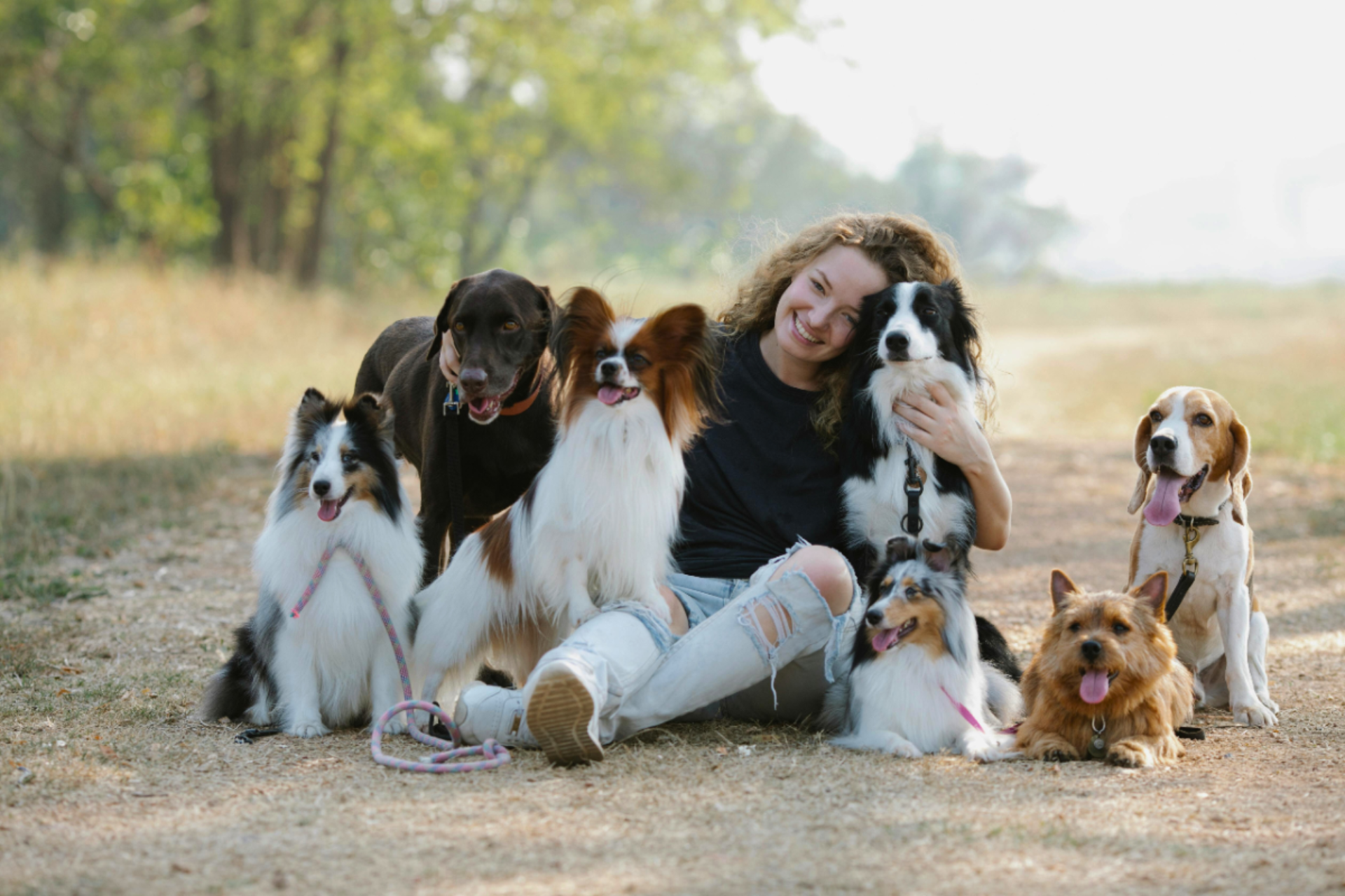 Woman sitting with seven dogs in a field