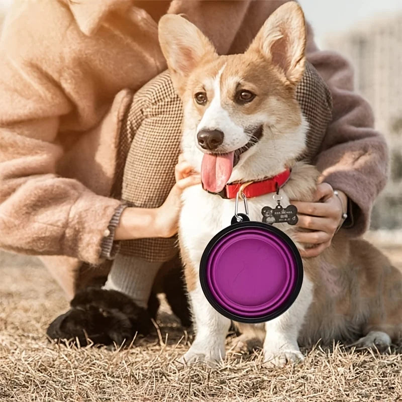 Portable Silicone Dog & Cat Bowl – Collapsible Travel Bowl for Food & Water - DOGGY DEN
