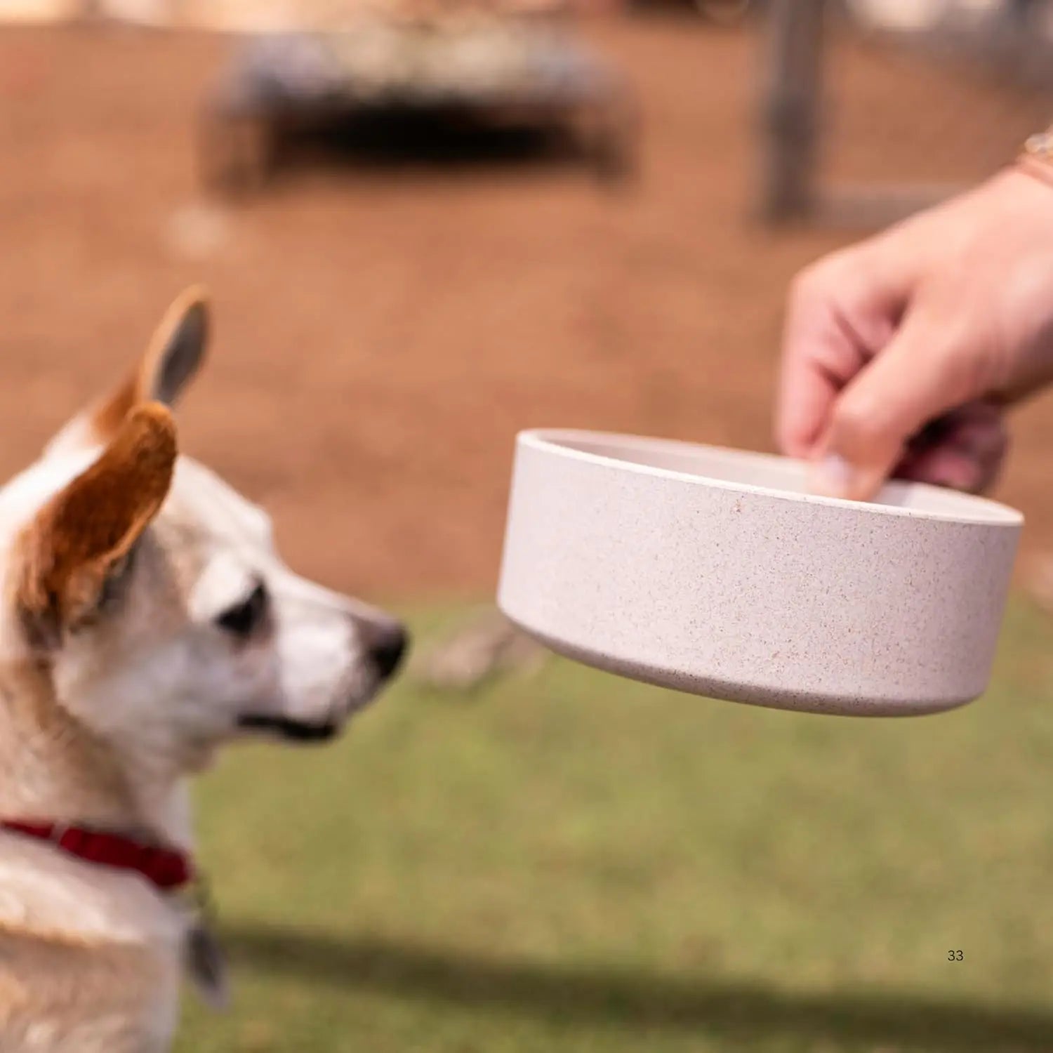 Eco-Friendly Bamboo Pet Bowl – Dishwasher Safe Dog & Cat Bowl (Medium, Oat-Beige) - DOGGY DEN